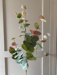 Blush Eucalyptus Spray