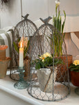 Chicken Wire Cloche - Coming Soon