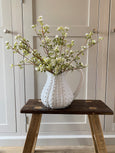 Waxflower Stem