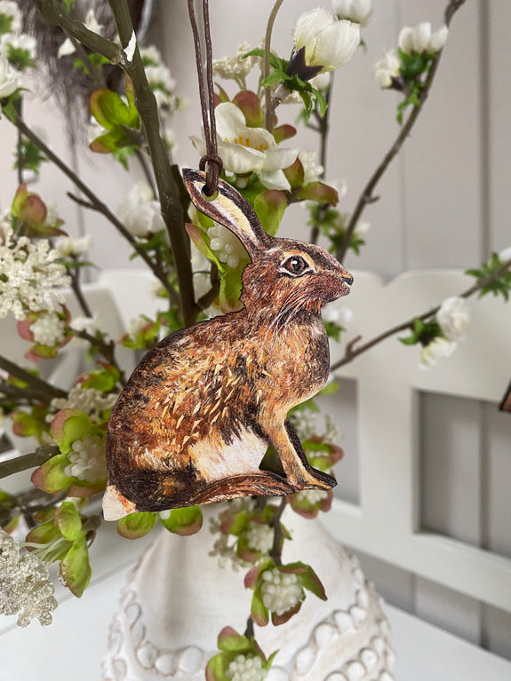 Sitting Brown Hare