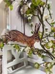 Leaping Brown Hare
