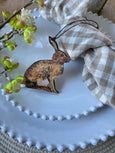 Sitting Brown Hare