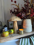 Wooden Elm Toadstool