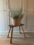 Scalloped edge basket