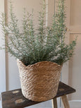 Scalloped edge basket