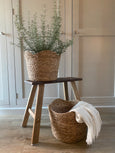 Scalloped edge basket