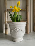 Crackle Glaze Pot