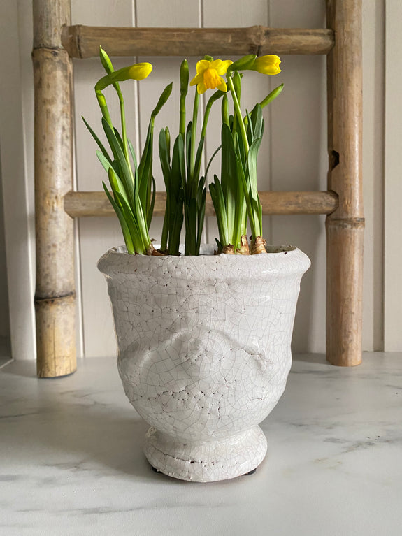 Crackle Glaze Pot