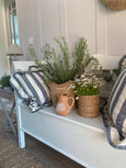 Blue stripe Cushion