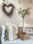 Olive Stripe cushion