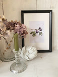 Figs Print