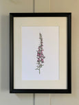 Foxglove Print