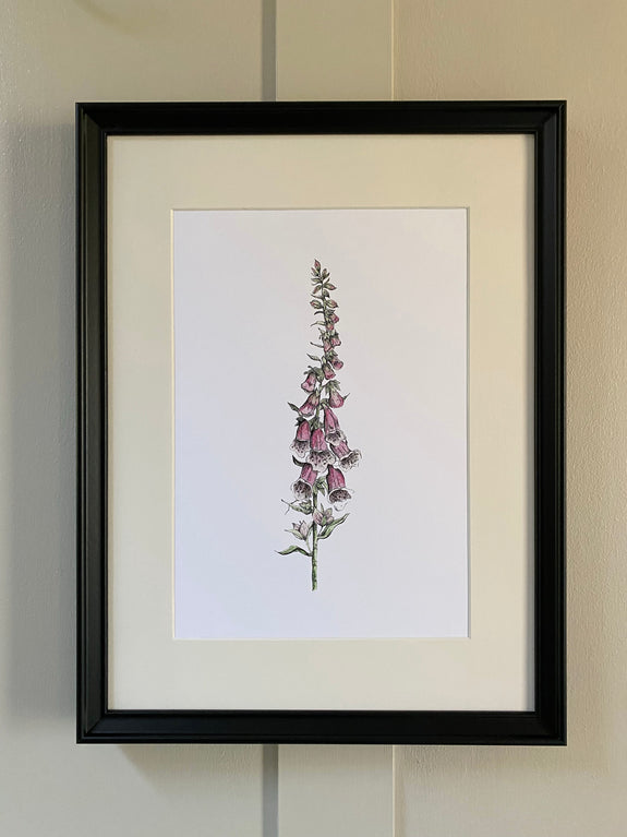 Foxglove Print