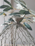 Chicken Wire Cloche - Coming Soon