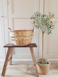 Bamboo Basket
