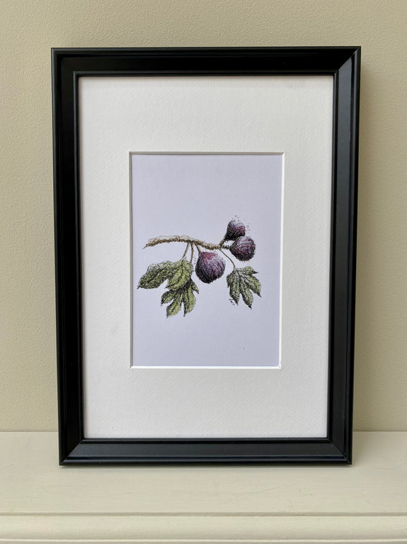 Figs Print