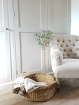 Round Seagrass basket with handles