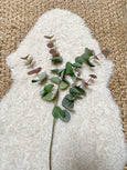 Faux Blush Tipped Eucalyptus