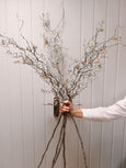 Faux Hazel & Catkin Branch
