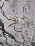 Faux Hazel & Catkin Branch