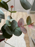 Faux Blush Tipped Eucalyptus
