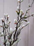 Faux Pussy Willow