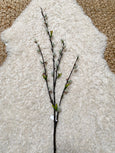 Faux Pussy Willow