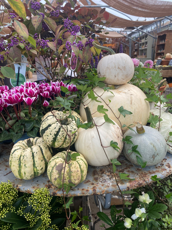 Autumn Table Centrepiece Workshop