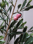 Faux Olive Stem