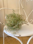 Faux Spanish Moss