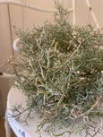 Faux Spanish Moss