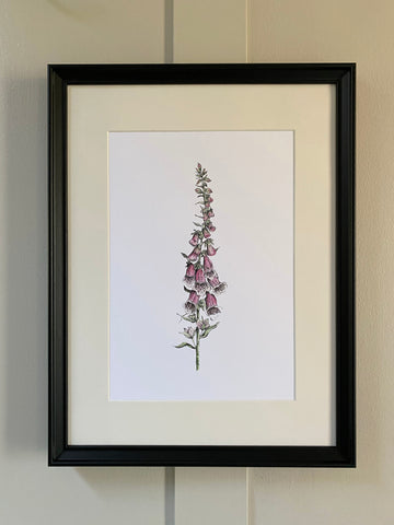 Art Prints
