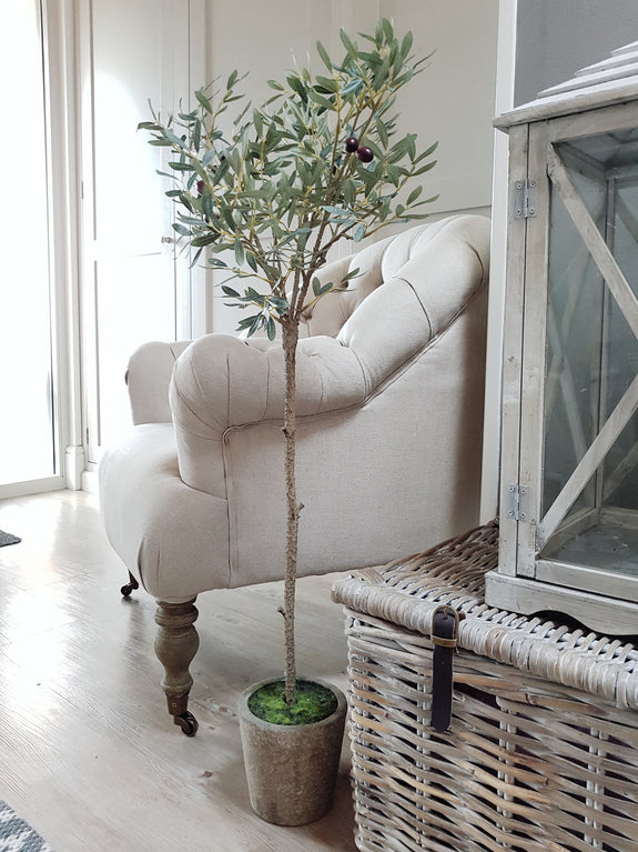 Potted faux Olive Tree