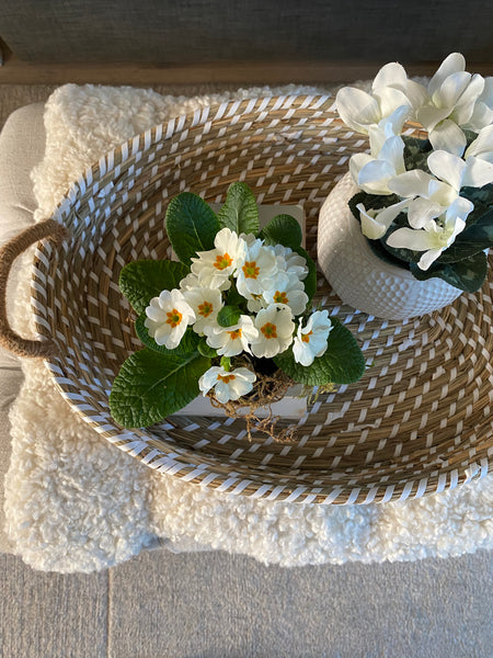 Oval seagrass tray